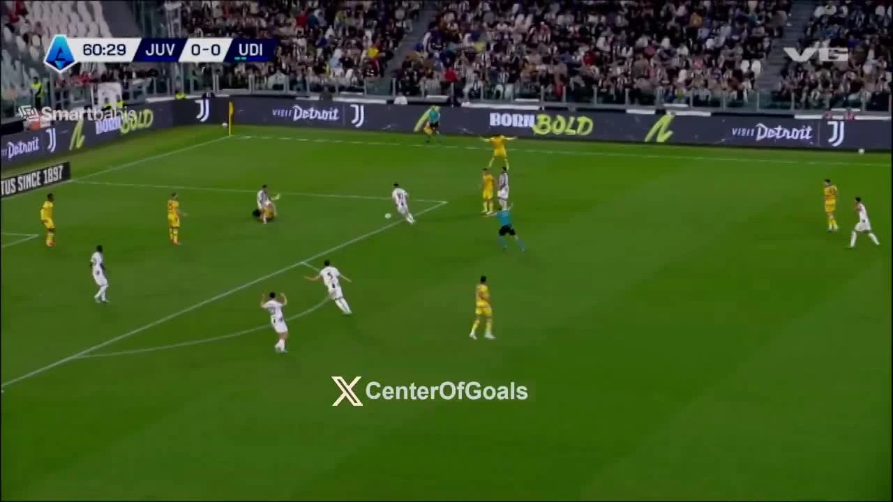 zaslepka skrotu video