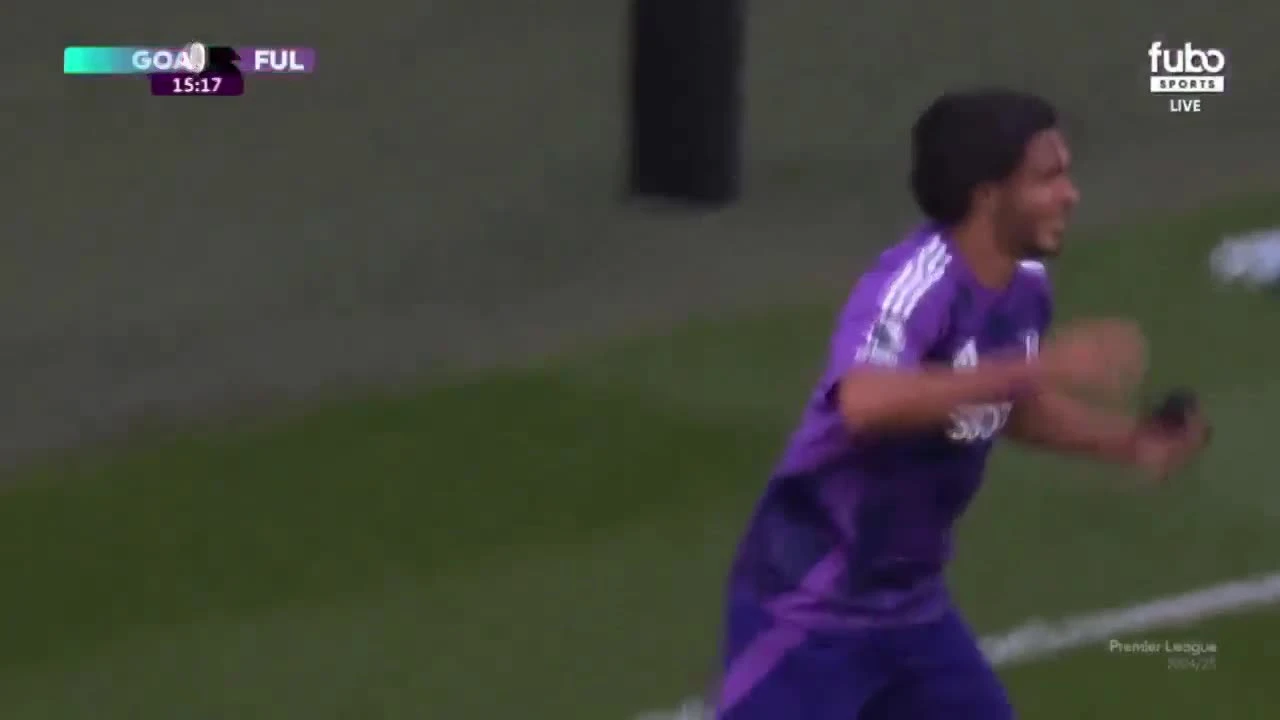zaslepka skrotu video