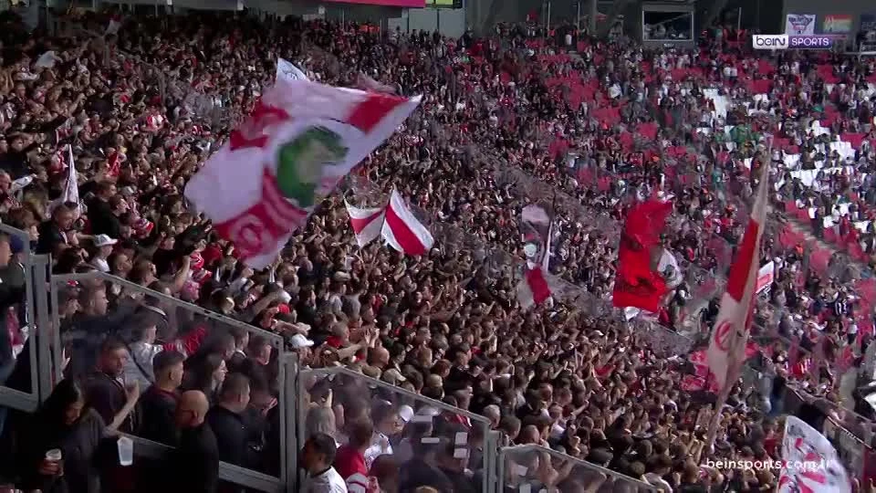 zaslepka skrotu video