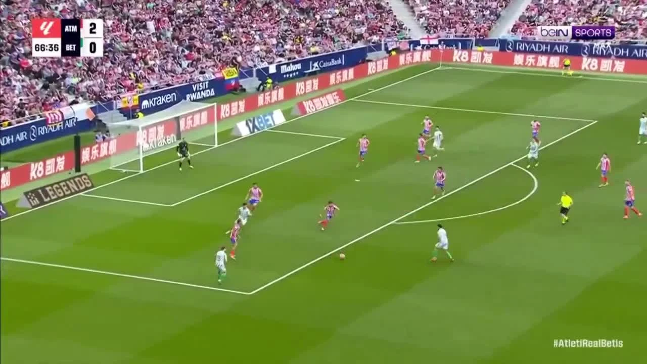 zaslepka skrotu video