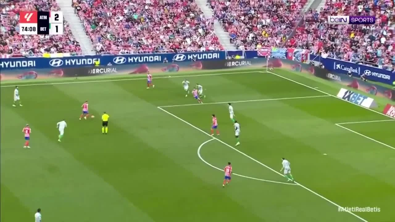 zaslepka skrotu video