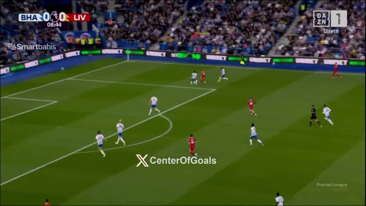 zaslepka skrotu video