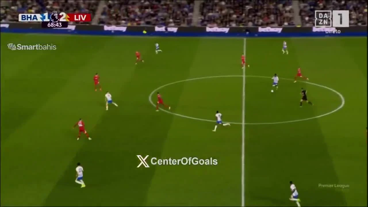 zaslepka skrotu video