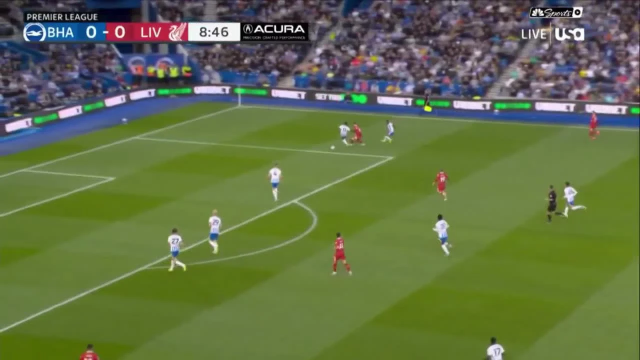 zaslepka skrotu video