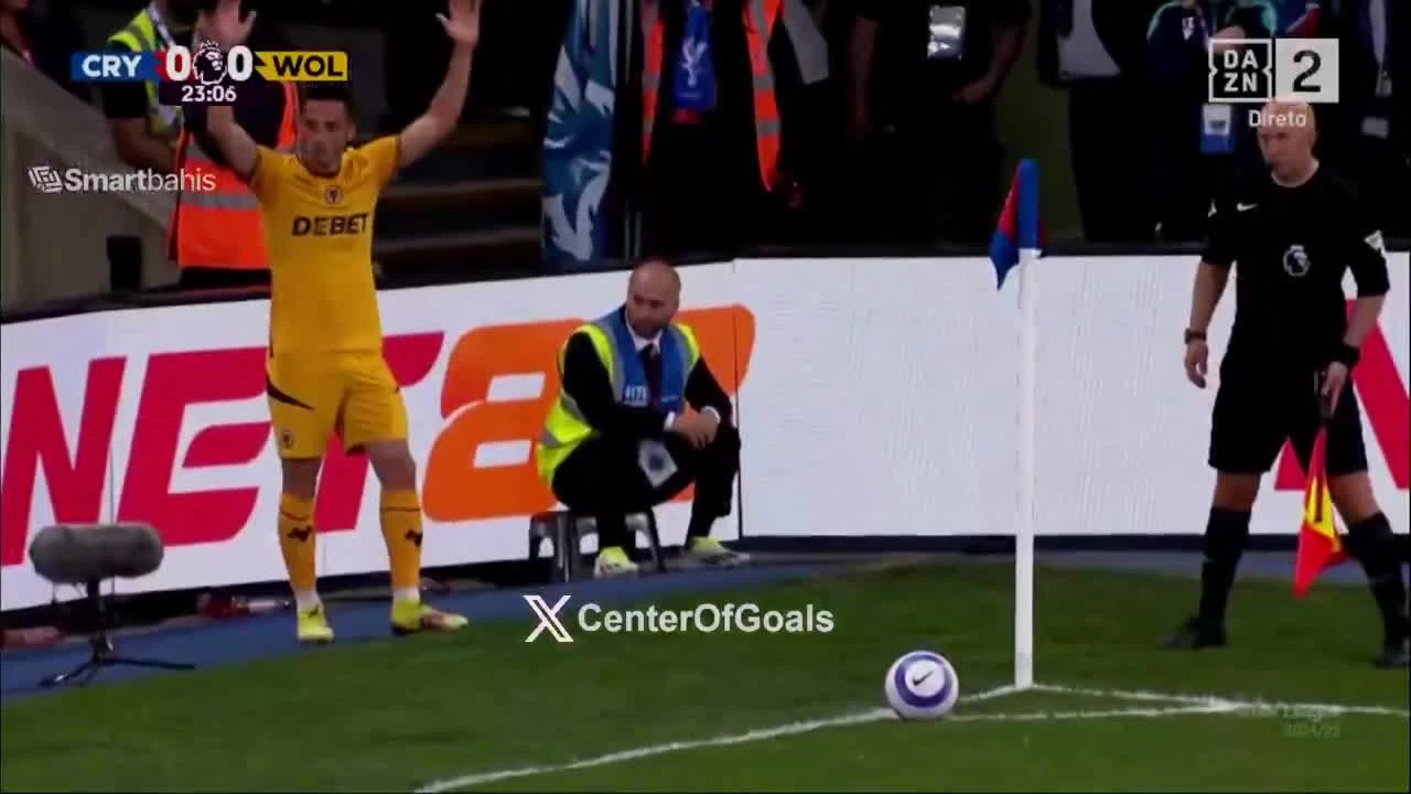 zaslepka skrotu video