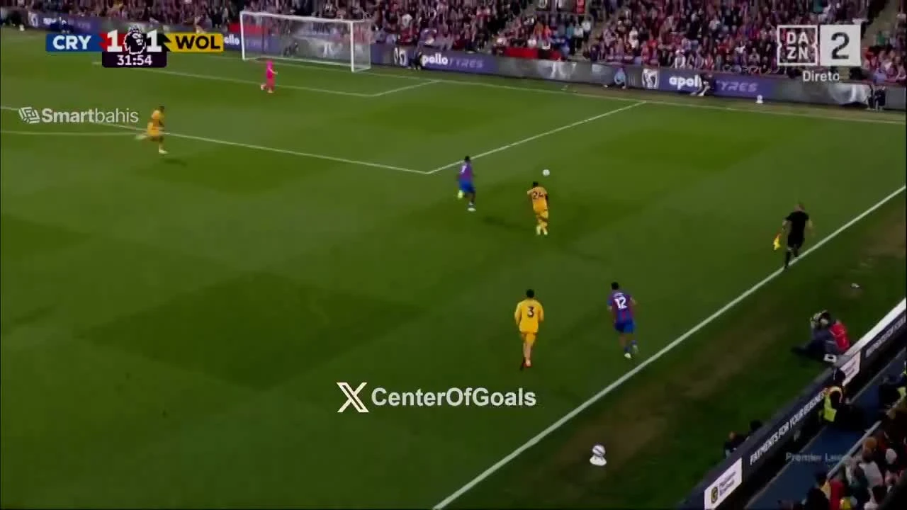 zaslepka skrotu video
