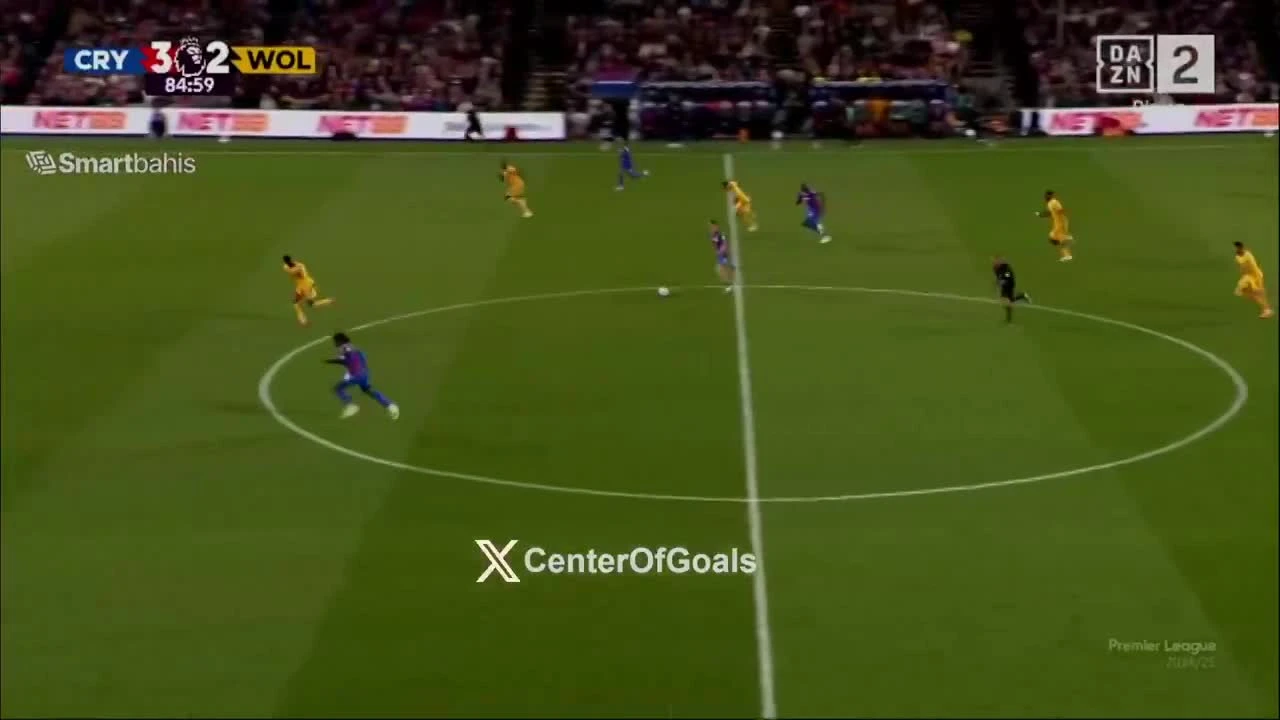 zaslepka skrotu video
