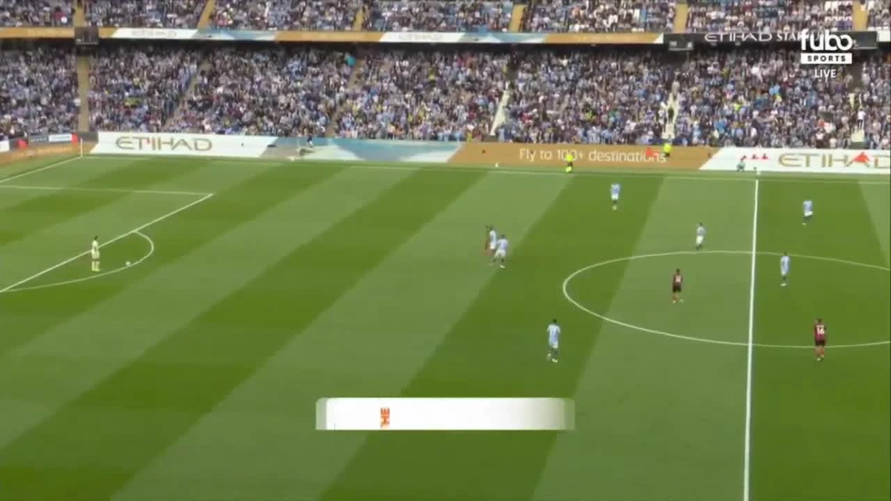 zaslepka skrotu video