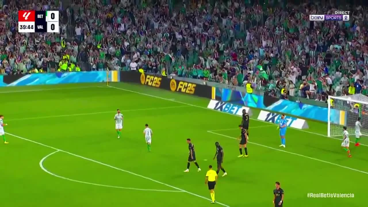 zaslepka skrotu video