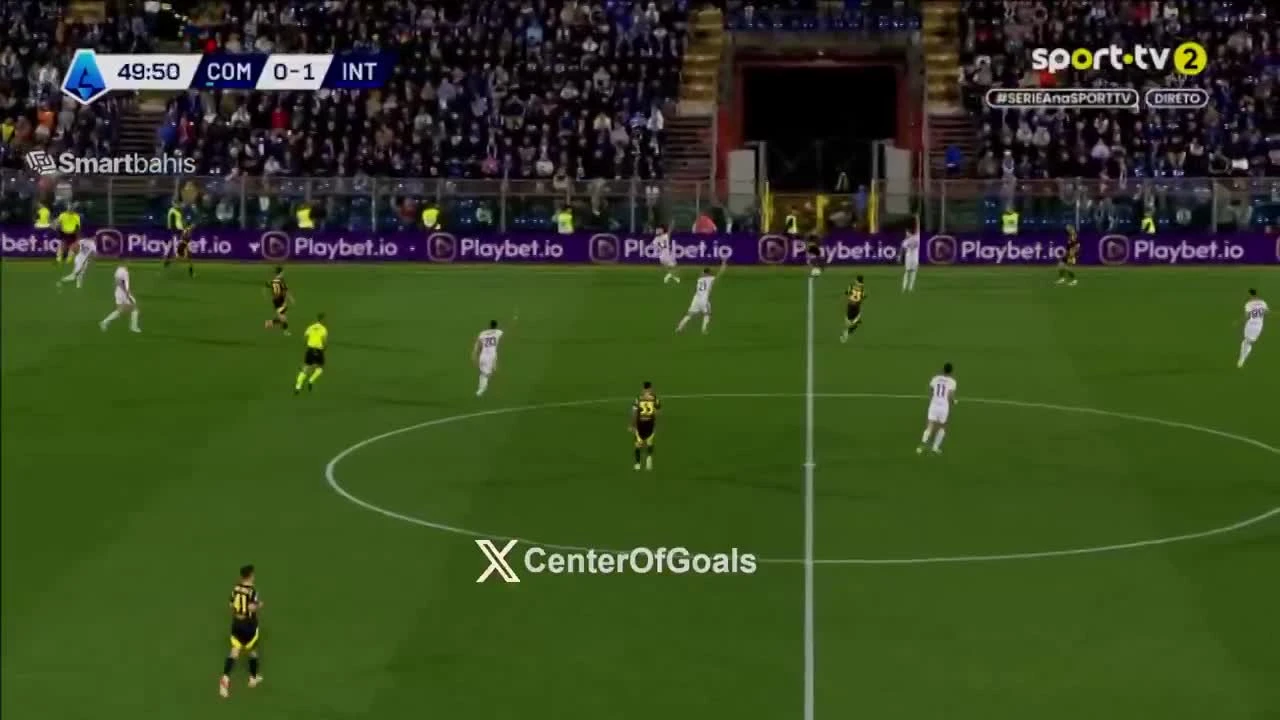 zaslepka skrotu video