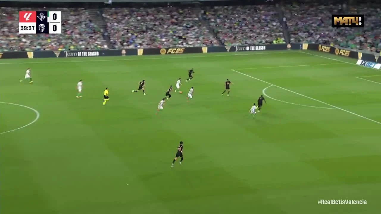 zaslepka skrotu video