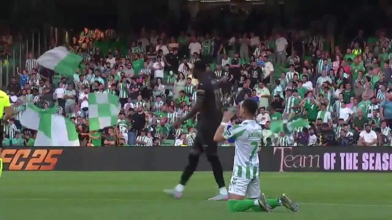 zaslepka skrotu video
