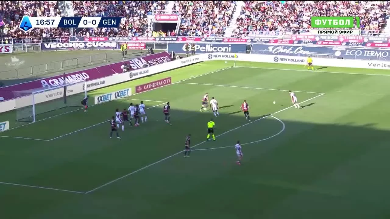 zaslepka skrotu video