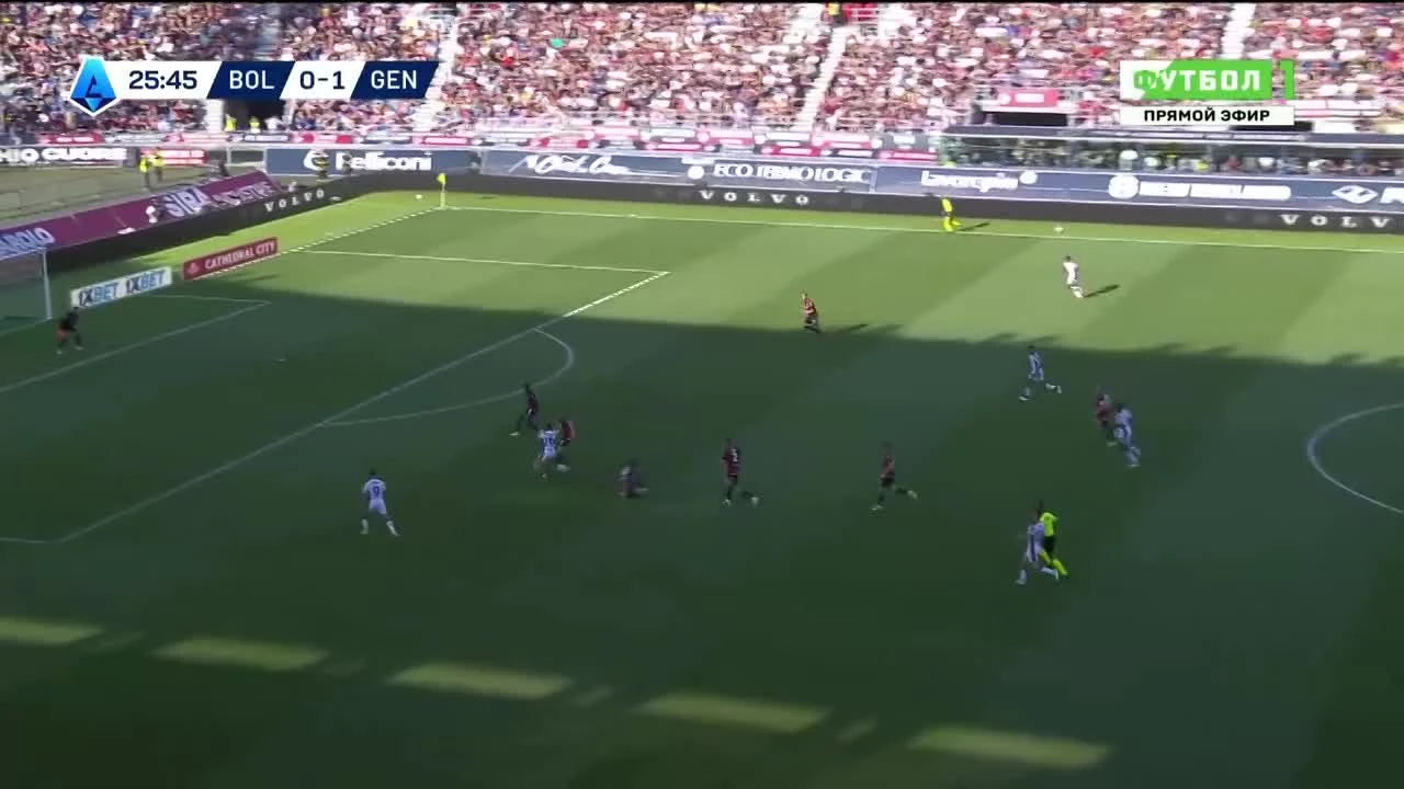 zaslepka skrotu video