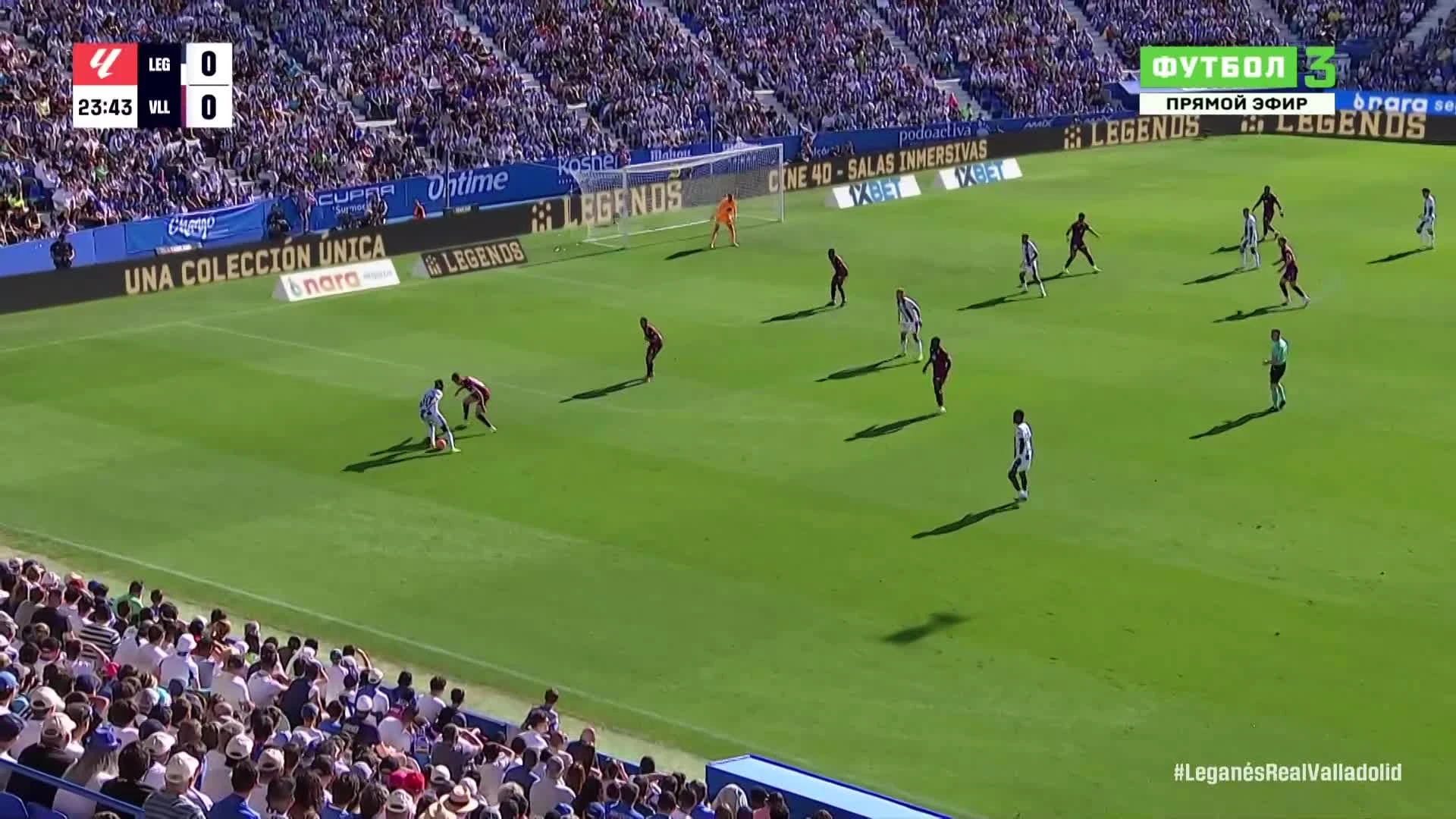 zaslepka skrotu video