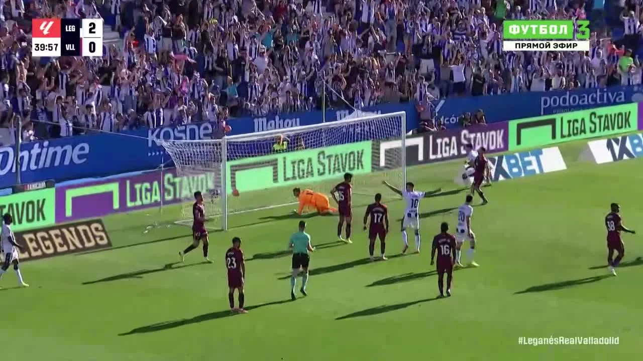 zaslepka skrotu video