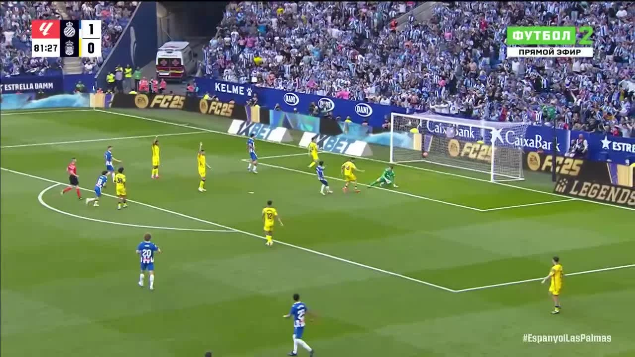 zaslepka skrotu video
