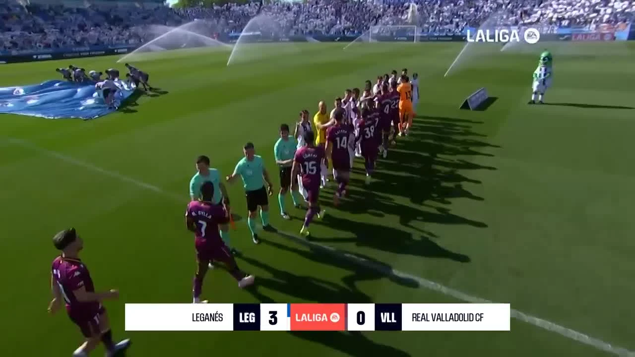 zaslepka skrotu video
