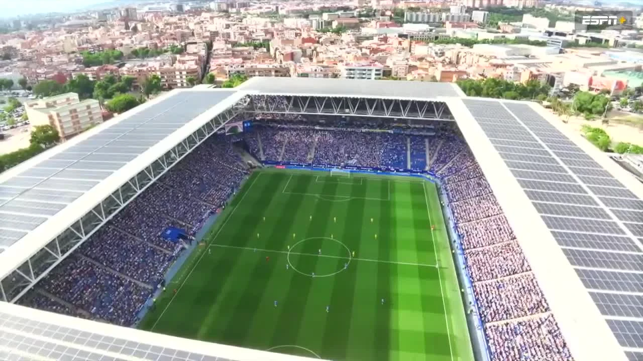 zaslepka skrotu video