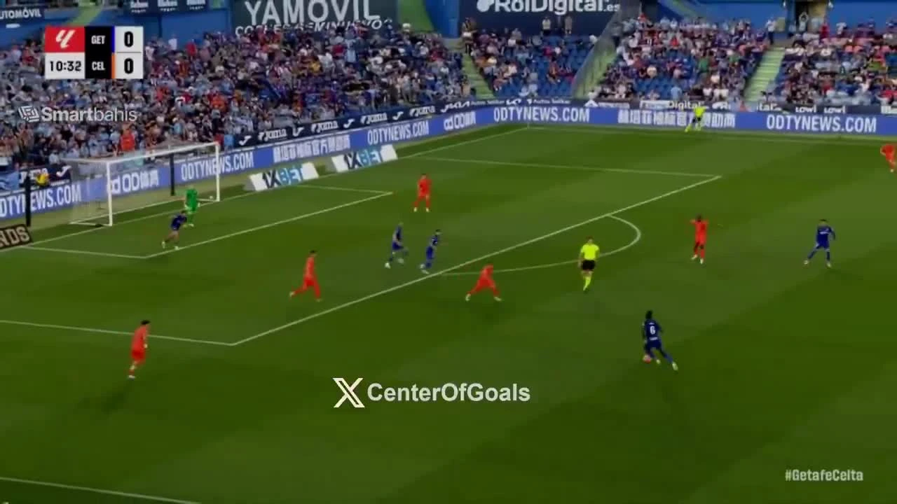 zaslepka skrotu video