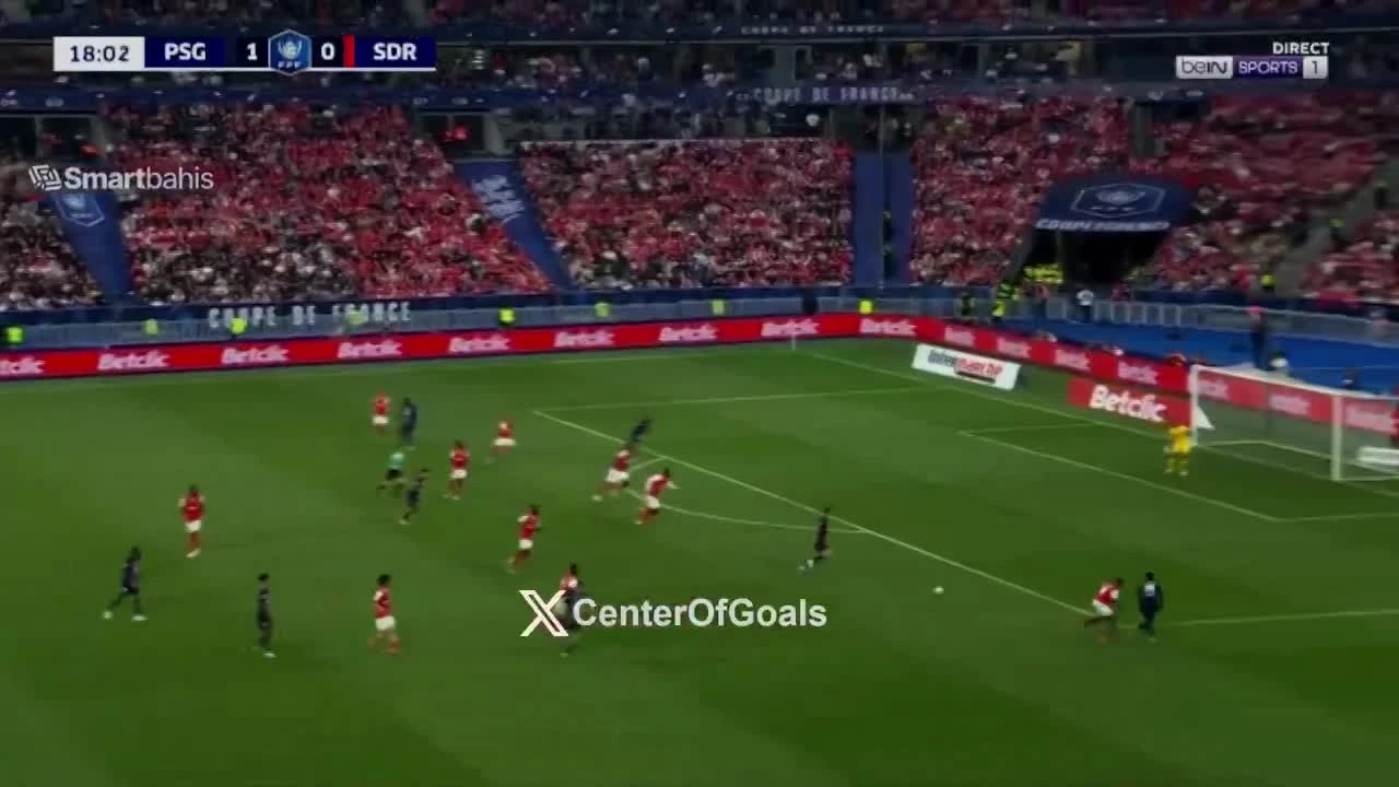 zaslepka skrotu video
