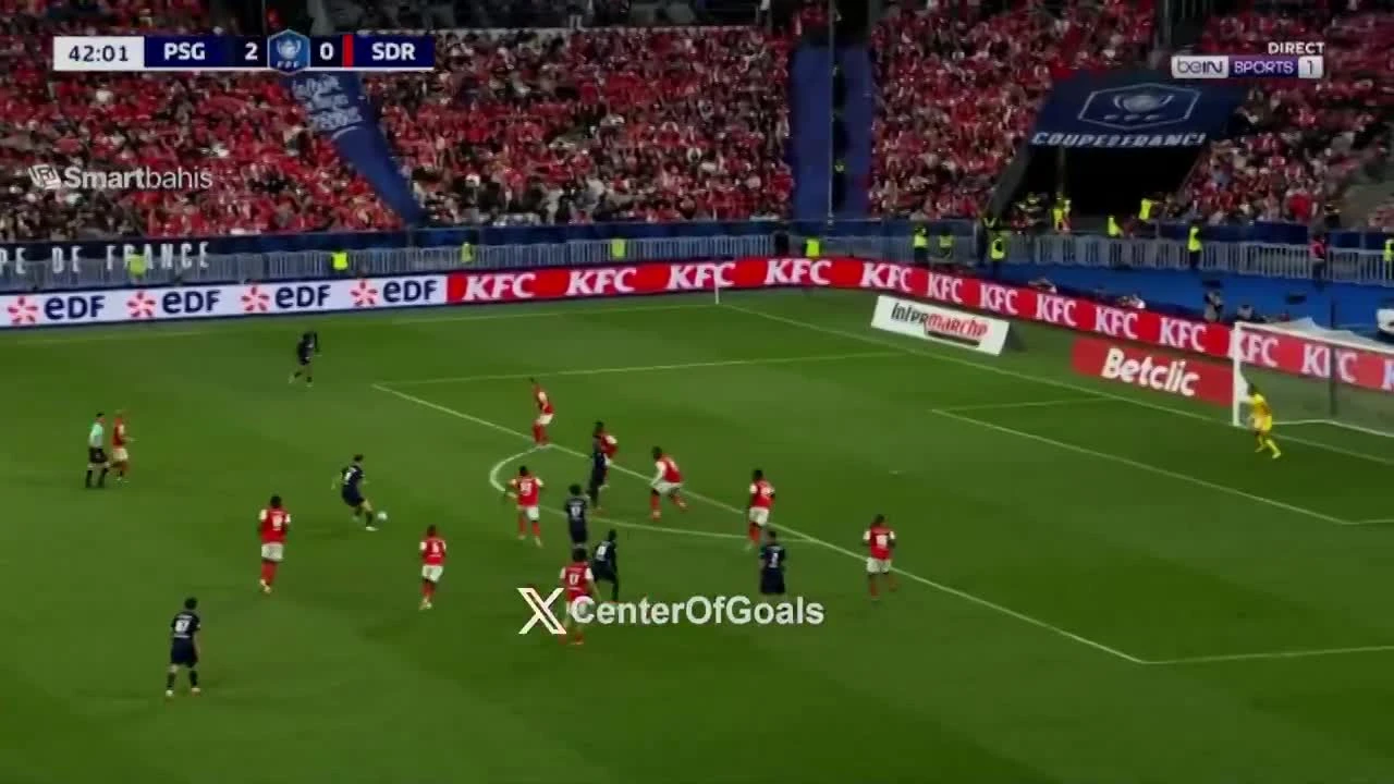zaslepka skrotu video