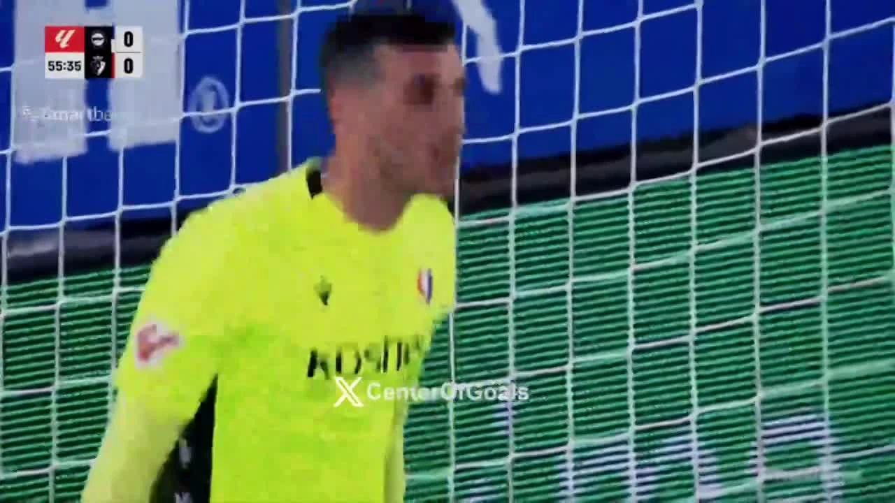 zaslepka skrotu video