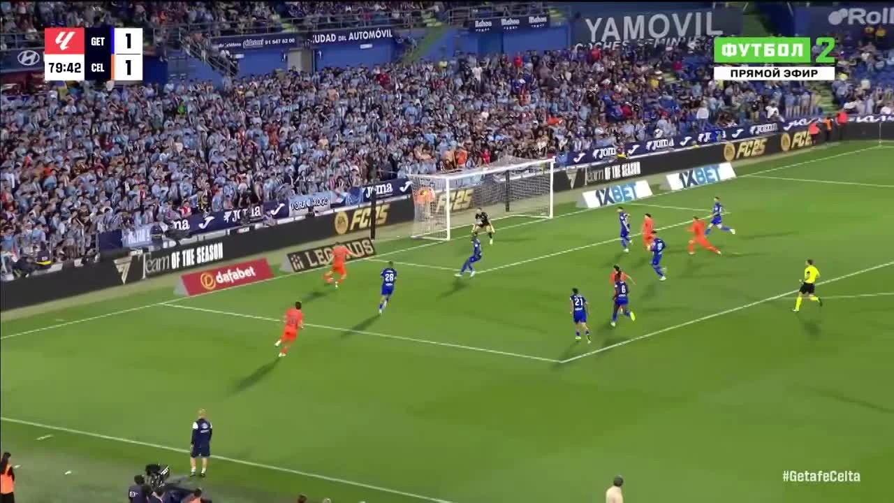 zaslepka skrotu video