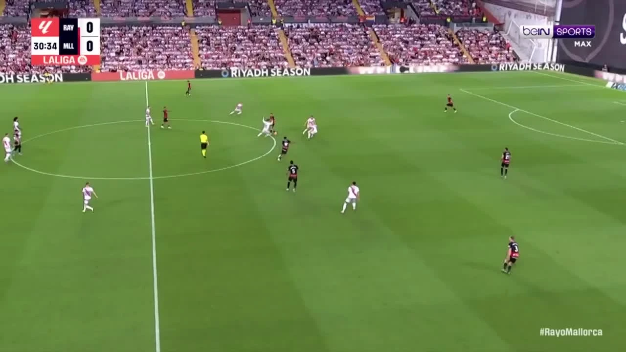 zaslepka skrotu video