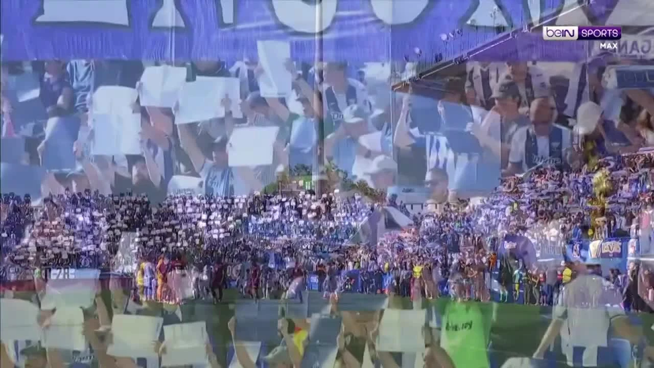 zaslepka skrotu video
