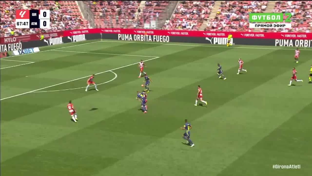 zaslepka skrotu video