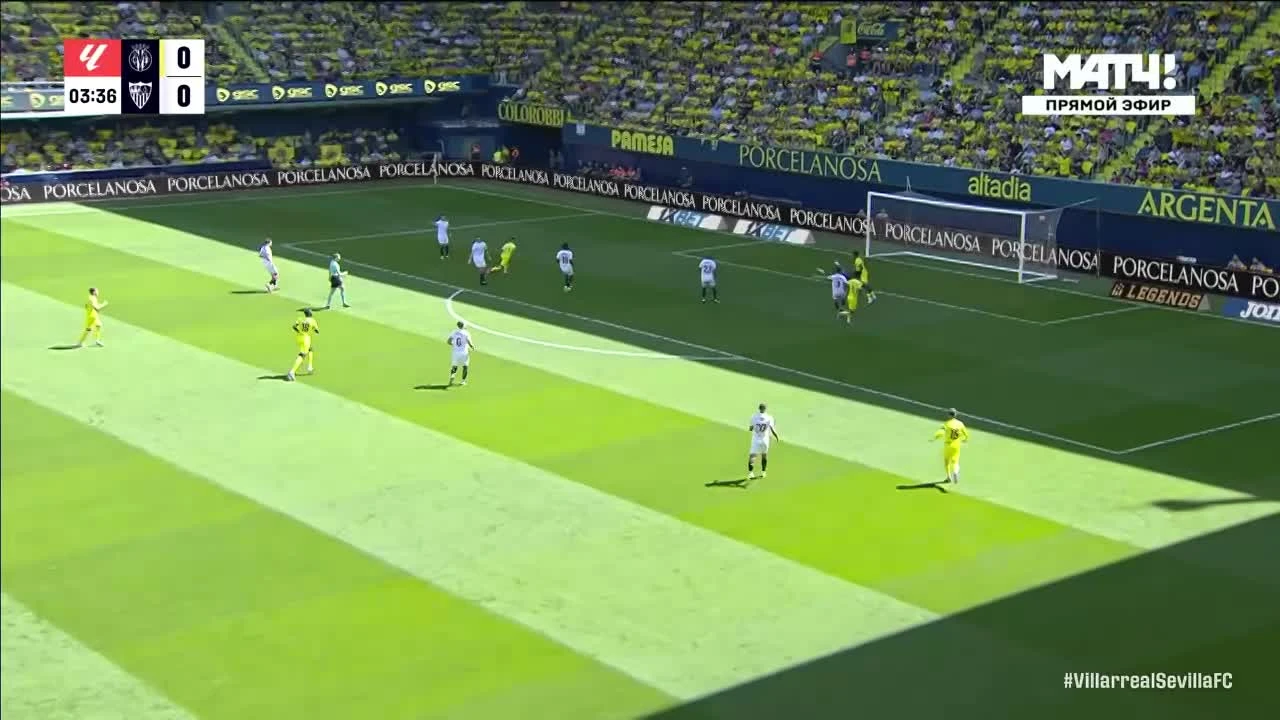 zaslepka skrotu video