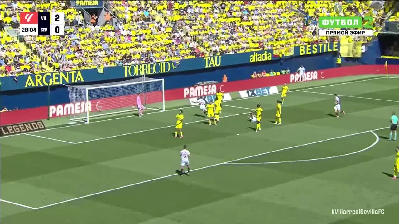 zaslepka skrotu video
