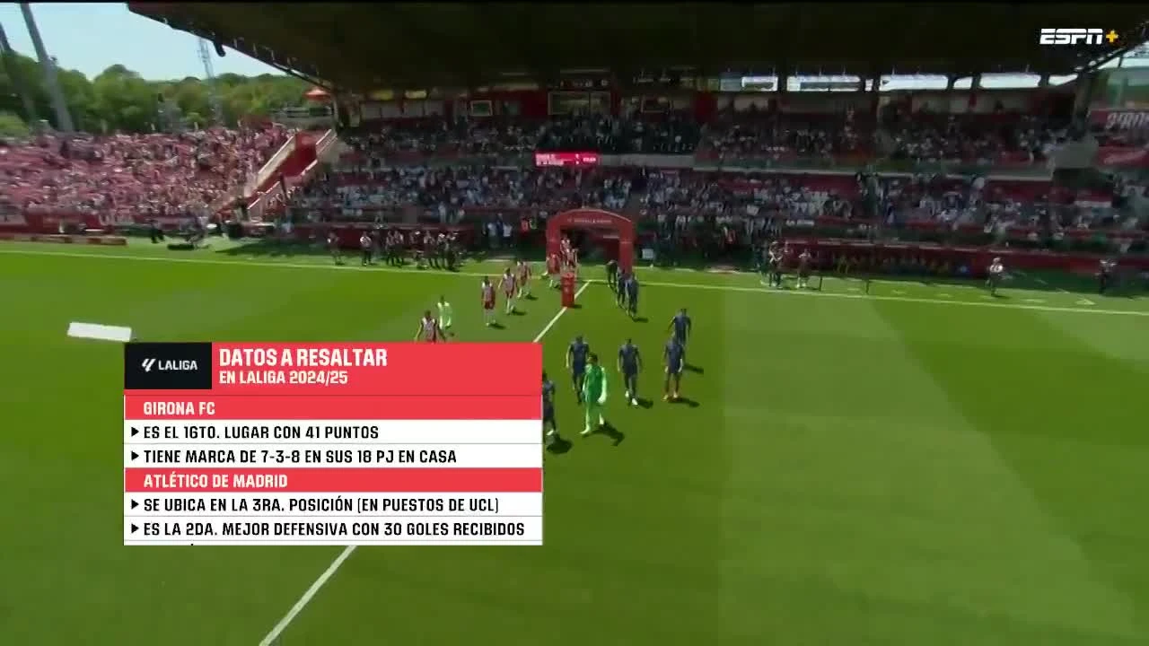 zaslepka skrotu video