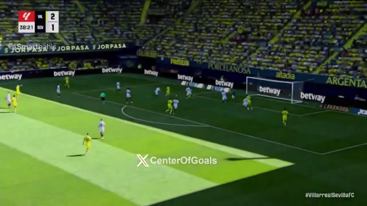 zaslepka skrotu video