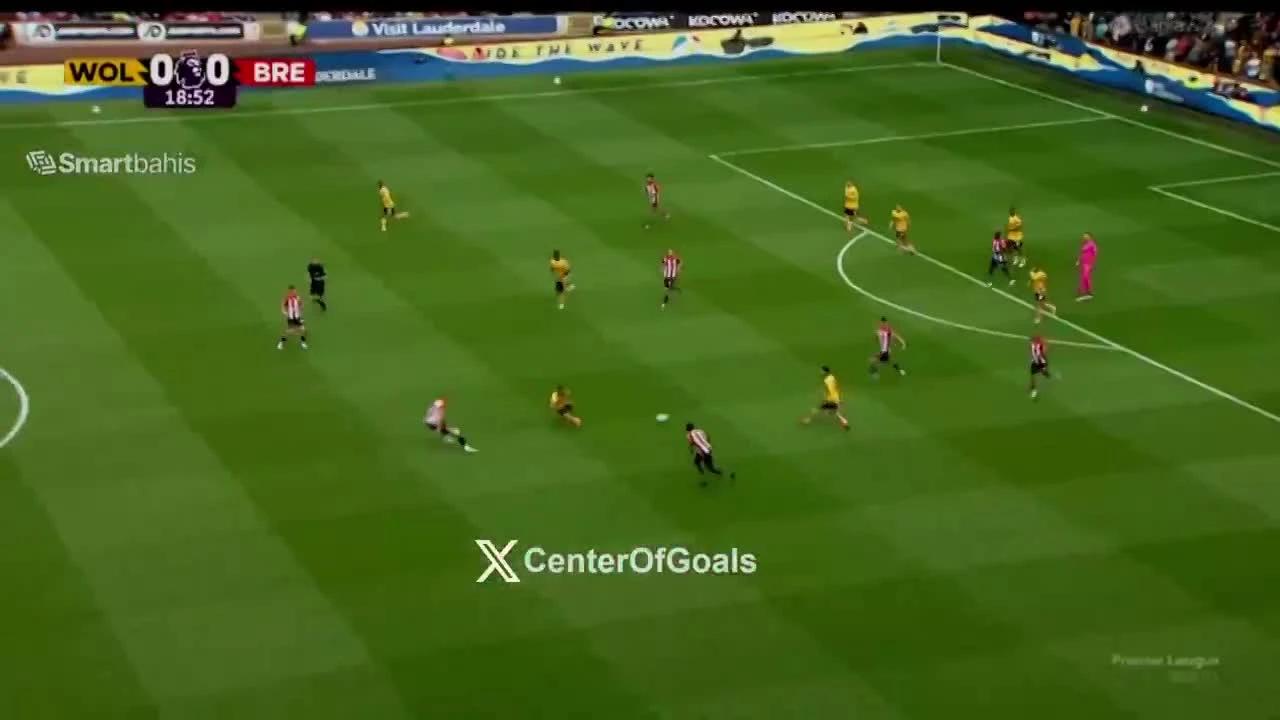 zaslepka skrotu video