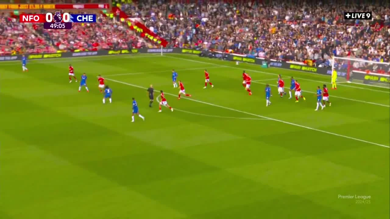 zaslepka skrotu video