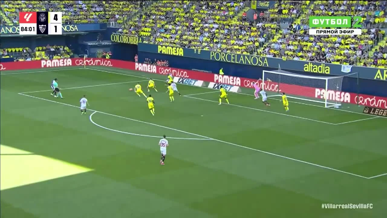 zaslepka skrotu video
