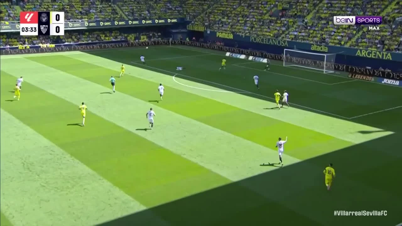 zaslepka skrotu video