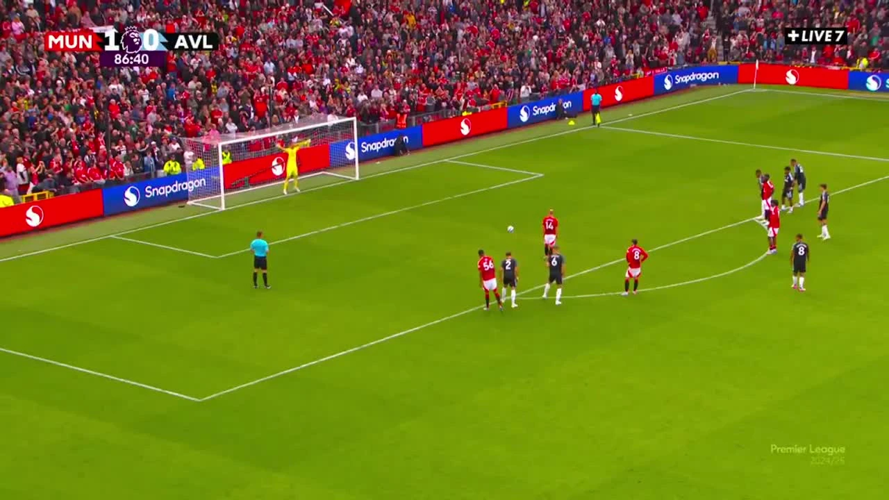 zaslepka skrotu video