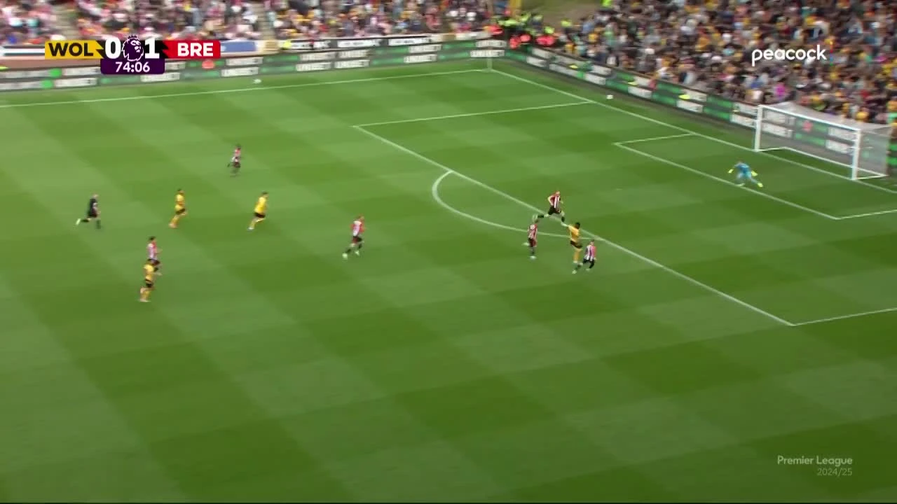 zaslepka skrotu video