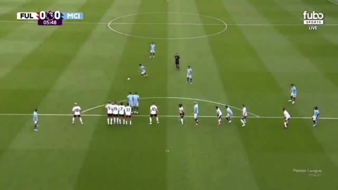 zaslepka skrotu video