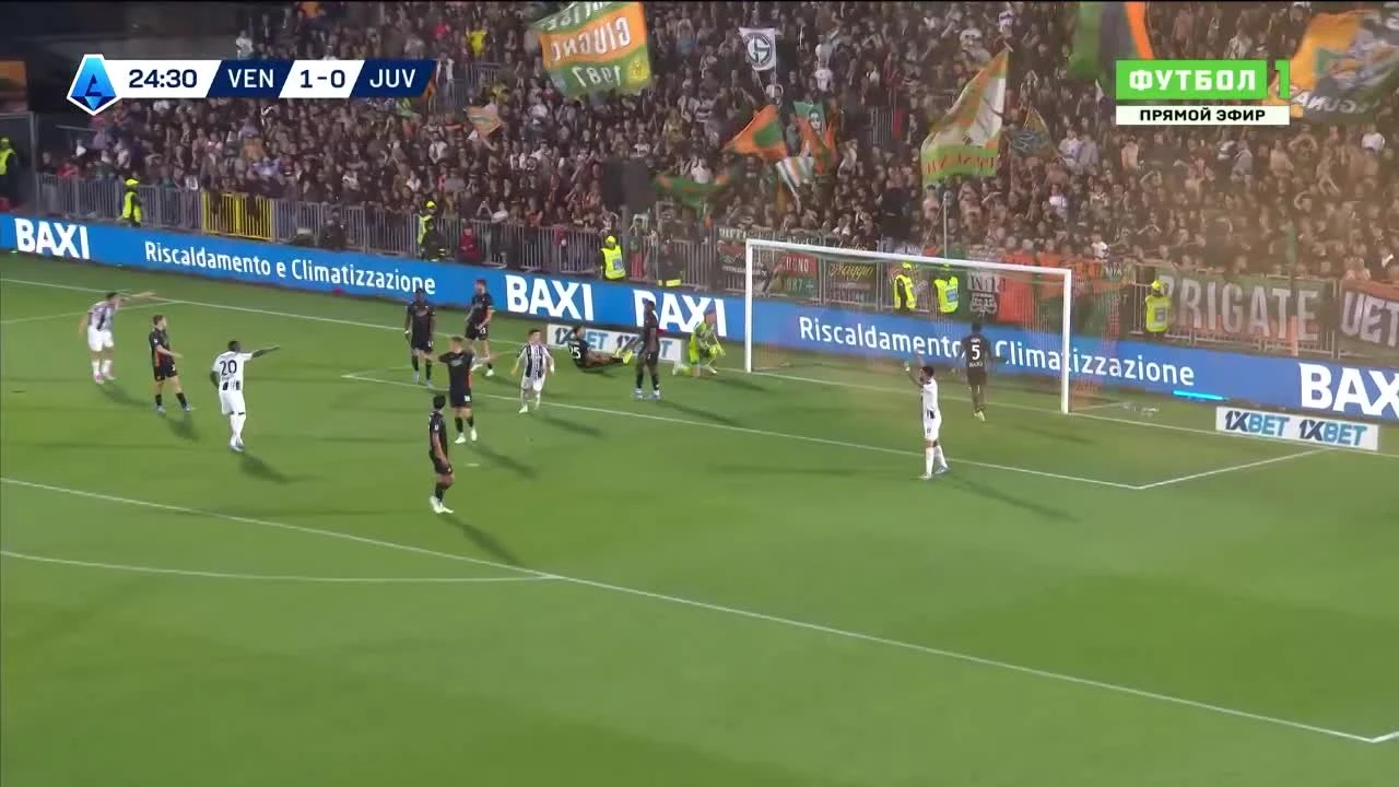 zaslepka skrotu video