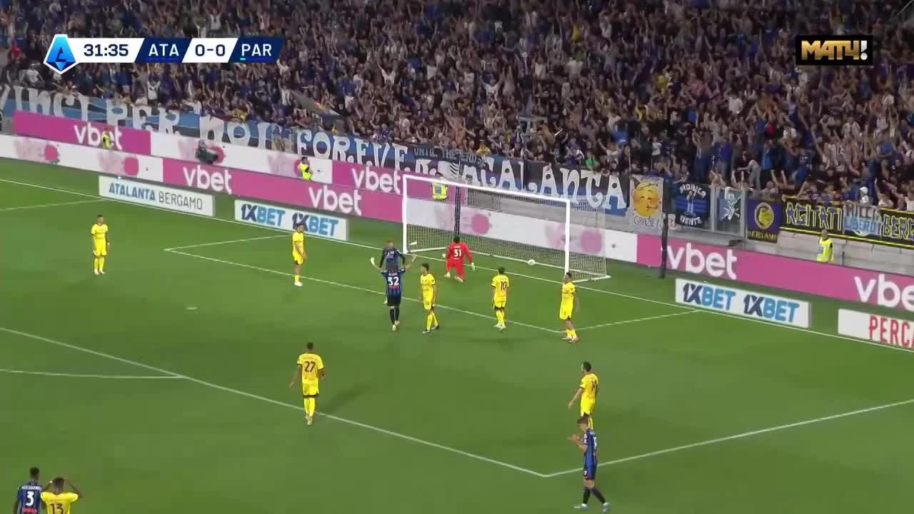 zaslepka skrotu video