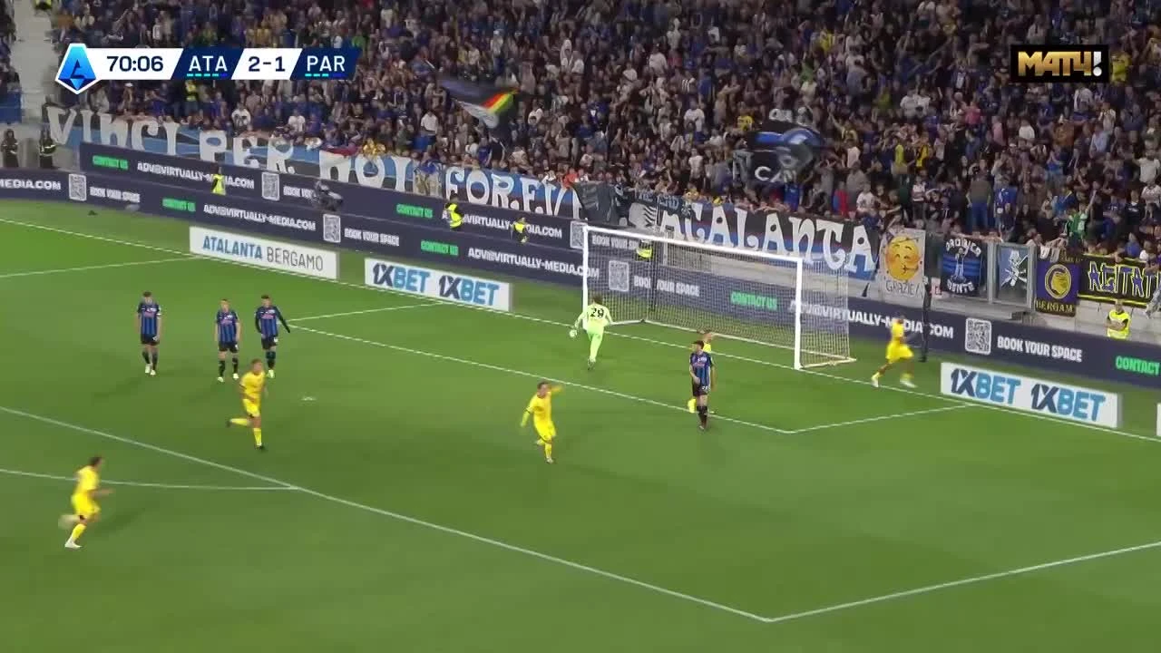 zaslepka skrotu video