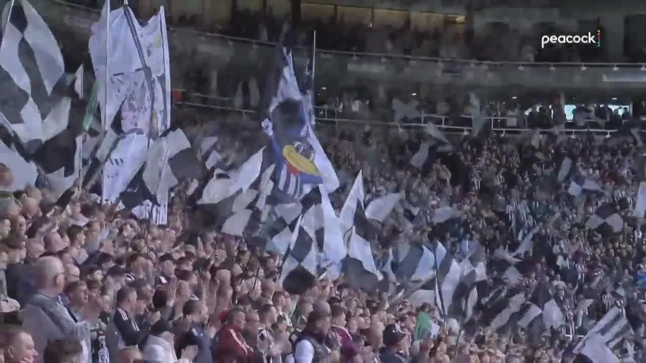 zaslepka skrotu video