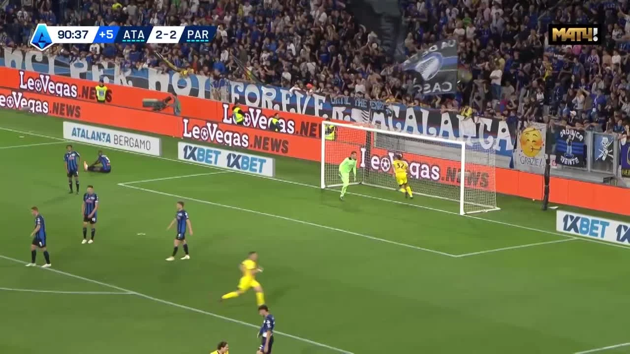 zaslepka skrotu video