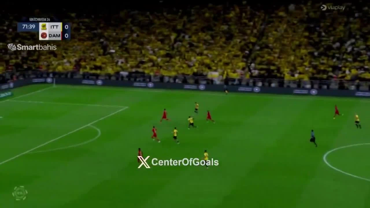 zaslepka skrotu video