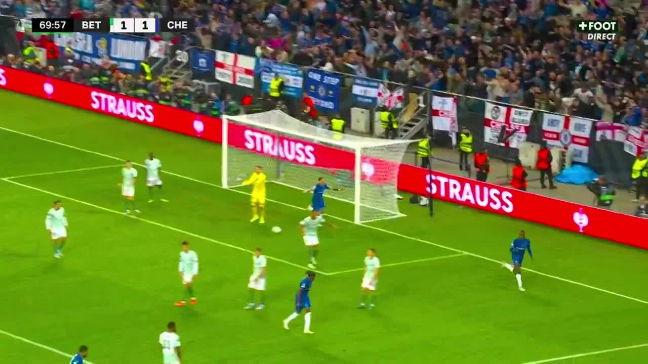 zaslepka skrotu video