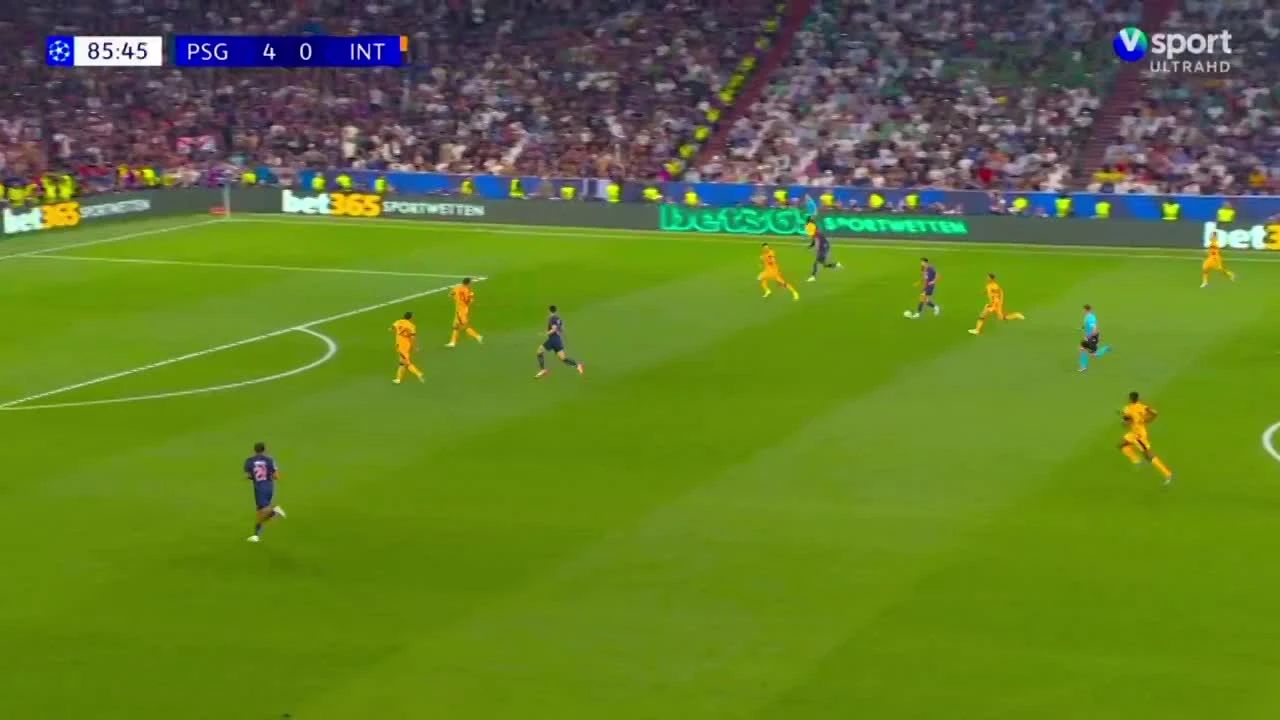 zaslepka skrotu video